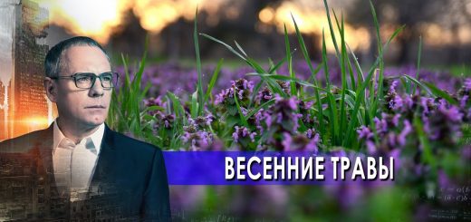 vesennie-travy.-samye-shokirujushhie-gipotezy-s-igorem-prokopenko-23.04.2021
