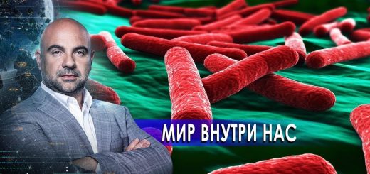 mir-vnutri-nas.-kak-ustroen-mirquot-s-timofeem-bazhenovym-13.01.2022