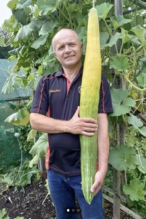 Самый дальний бросок стиральной машины, самый длинный огурец и другие неожиданные, забавные и нелепые рекорды Гиннесса - 23.05.2024